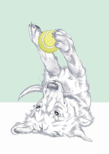 Golden retriever 2