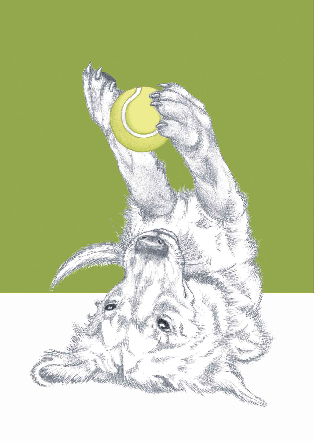 Golden Retriever 2