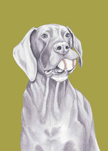 Load image into Gallery viewer, Great Dane
