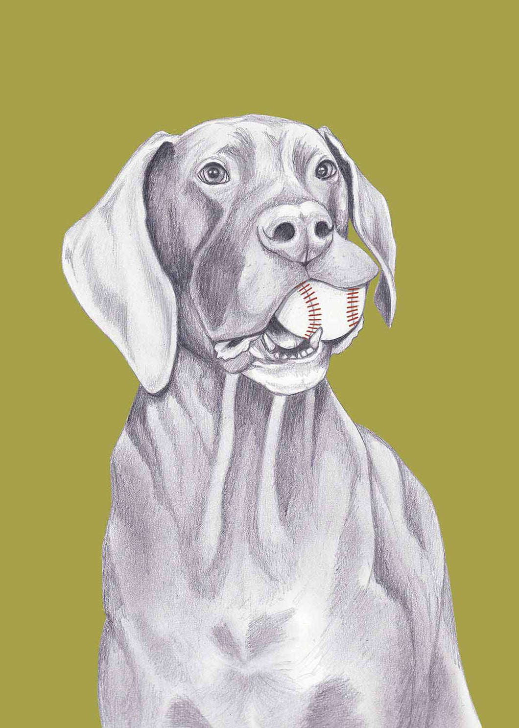 Great Dane
