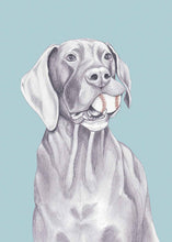 Load image into Gallery viewer, Great Dane
