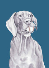 Load image into Gallery viewer, great dane
