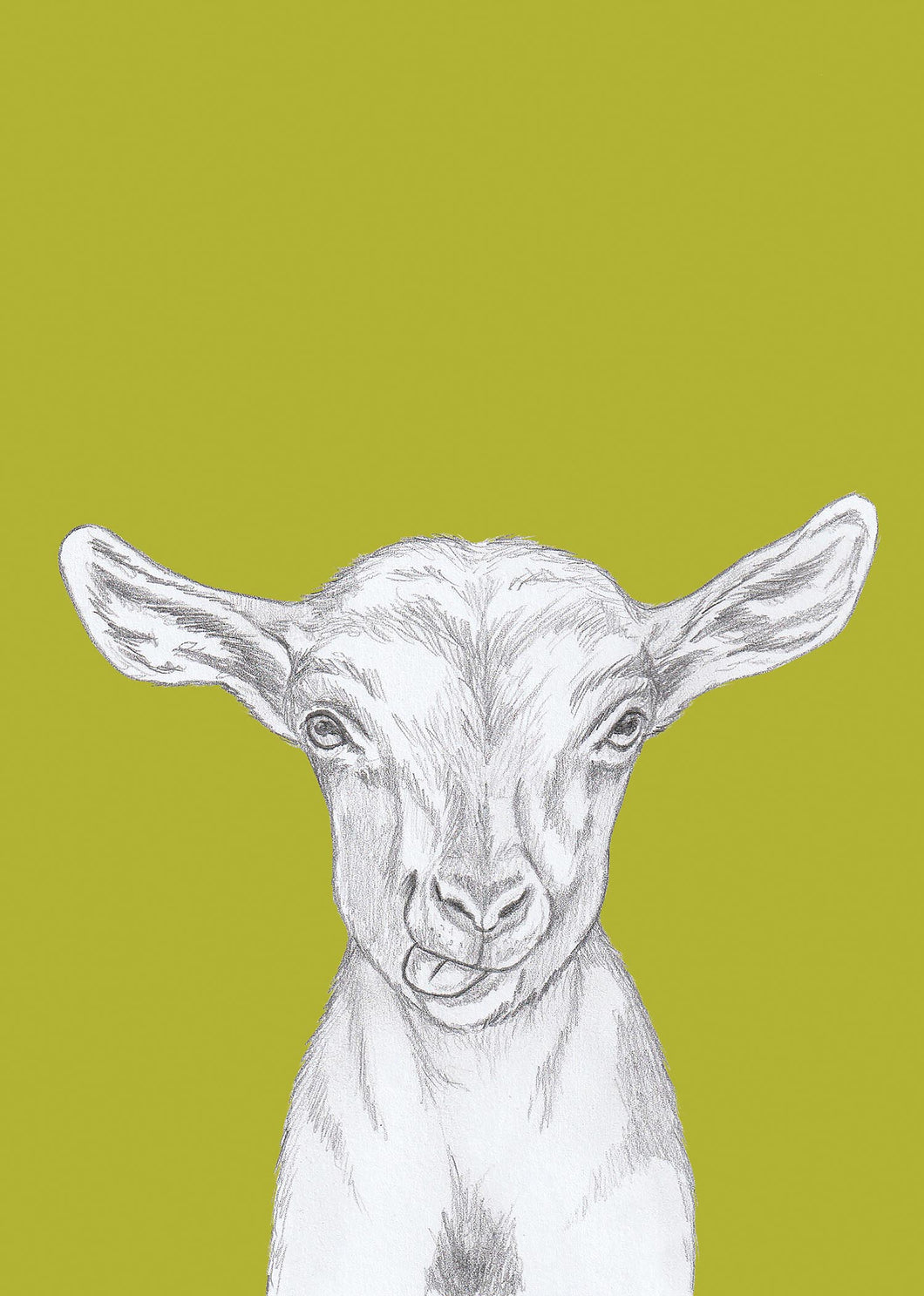 kid goat