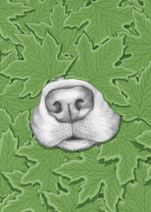 Nosy Dog