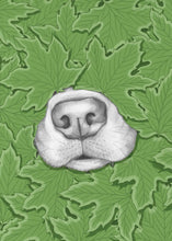 Load image into Gallery viewer, Nosy Dog
