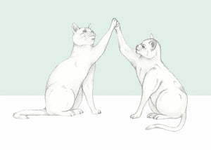 high five cats