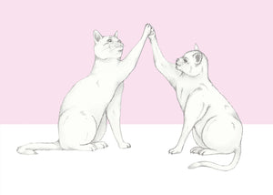 high five cats