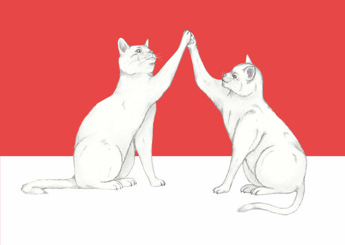 high five cats