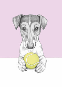 Jack Russel