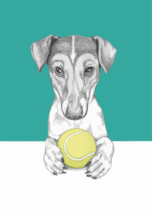 Jack Russel