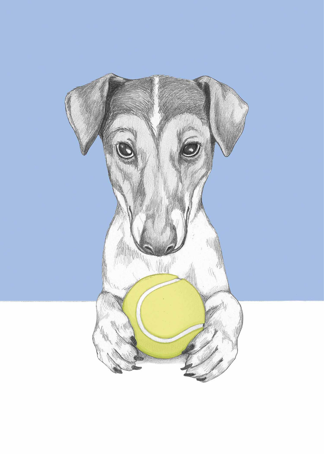 Jack Russel