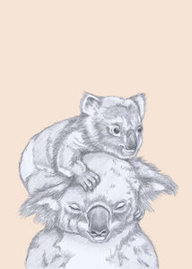 koala parent and kid