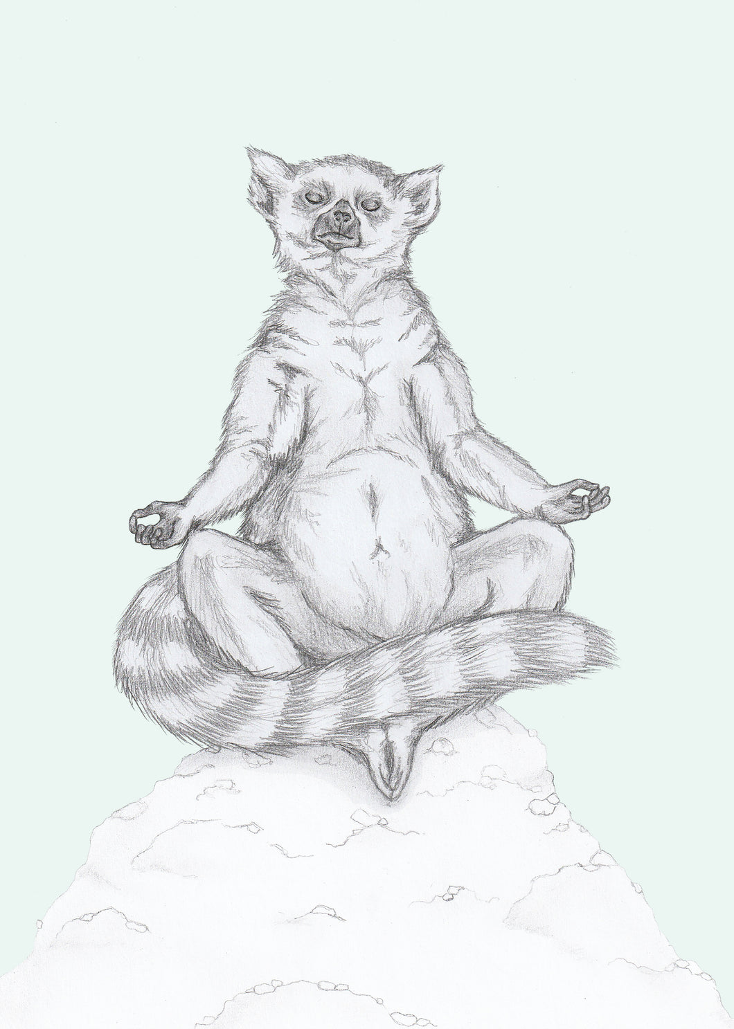 Meditating Lemur