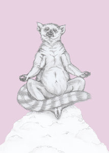 Meditating Lemur