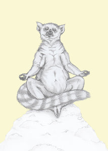 Meditating Lemur