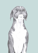 Load image into Gallery viewer, american staffordshire terrier
