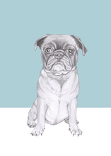 Load image into Gallery viewer, pug
