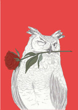 Load image into Gallery viewer, romantic owl

