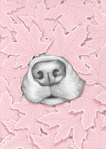 Nosy Dog