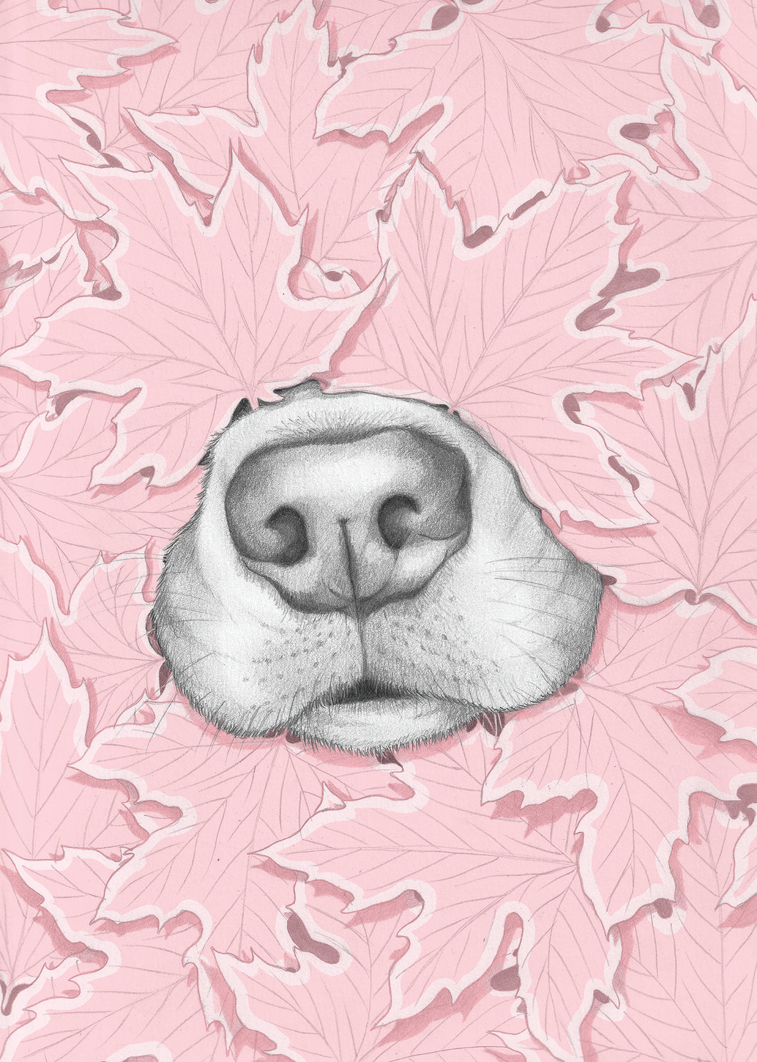 Nosy Dog