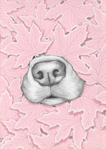 Nosy Dog