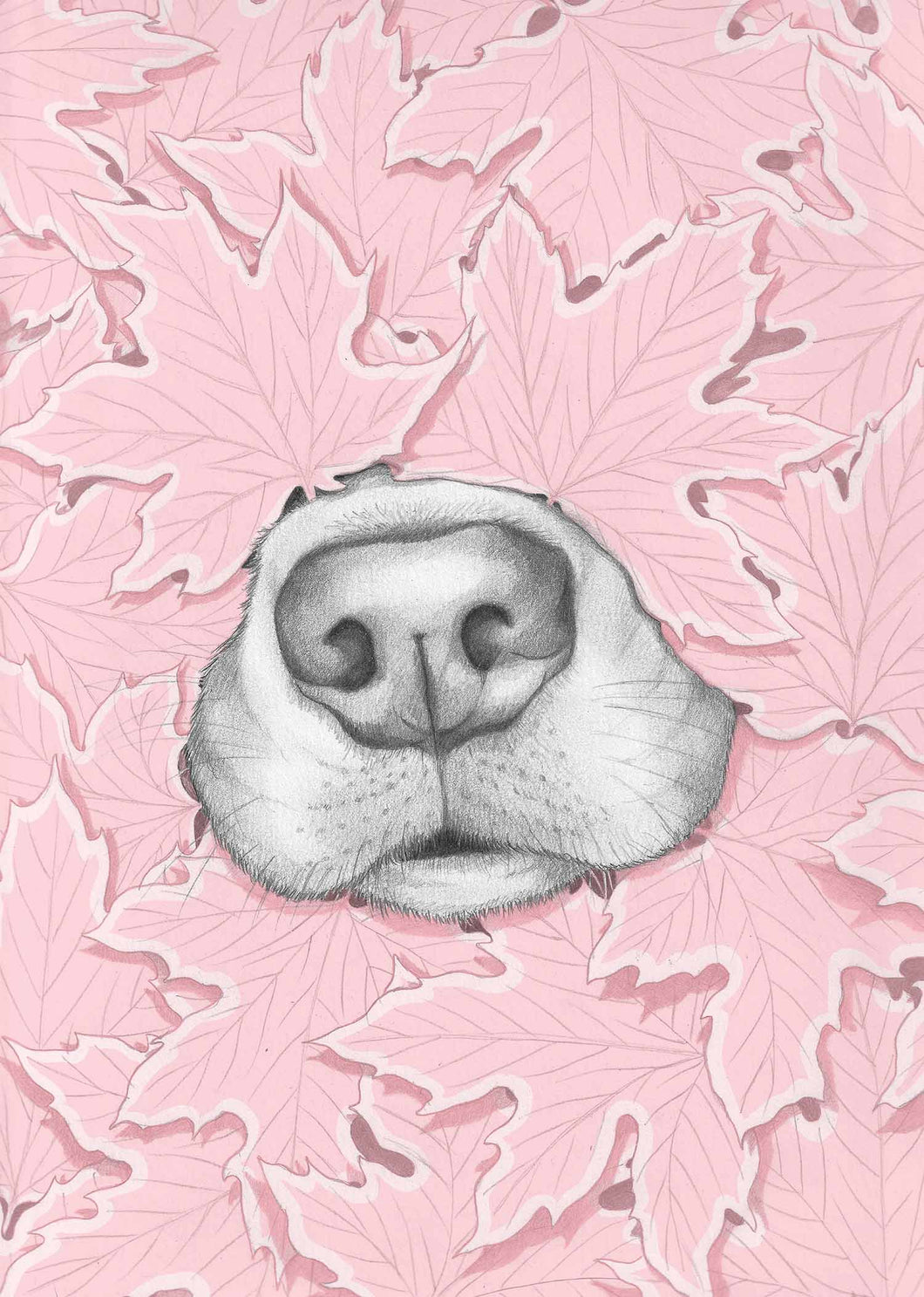 Nosy Dog