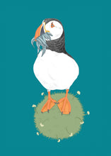 Load image into Gallery viewer, Puffin
