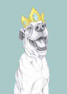 queen dog