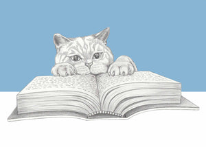 reading cat