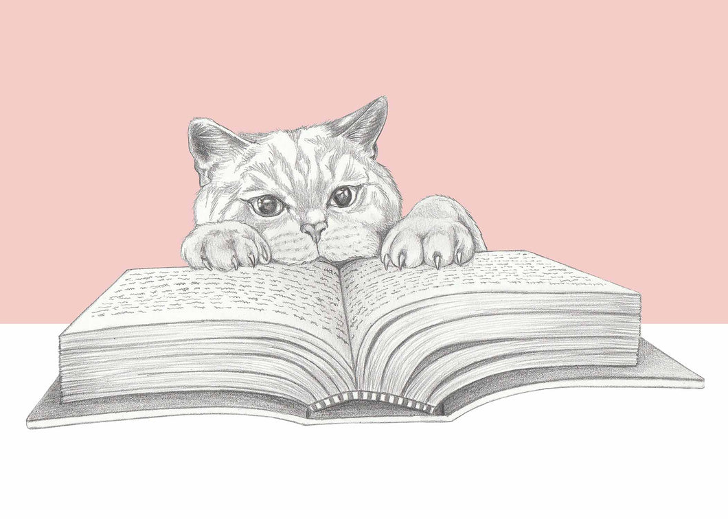 reading cat