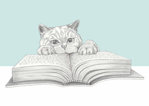 reading cat