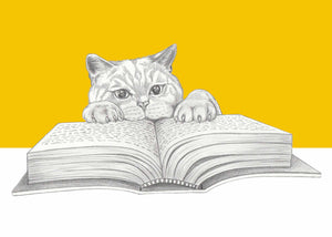 reading cat