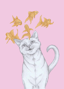 cat with flying fishes