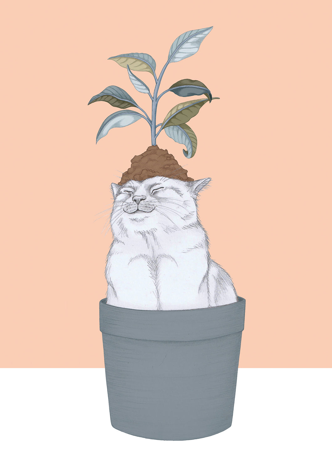 Cat Lovers Special 4 (5 cards)