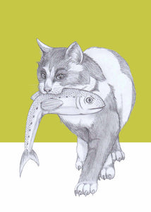 cat with fish