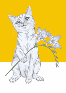 cat with flower