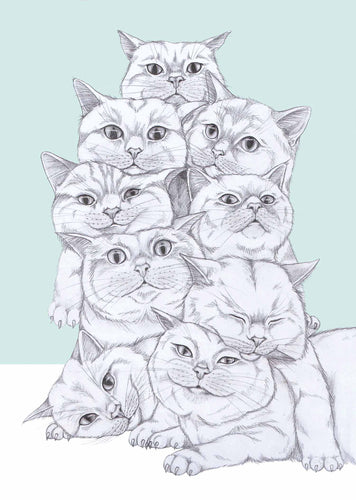 cat pile