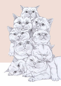 cat pile