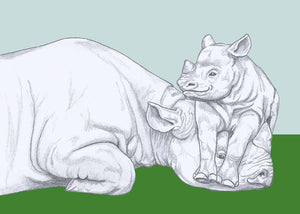 rhino parent and baby