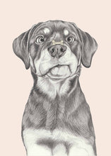 Load image into Gallery viewer, Rottweiler
