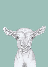 Load image into Gallery viewer, kid goat
