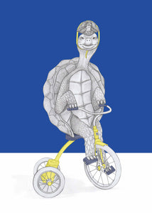 turtle on tricycle
