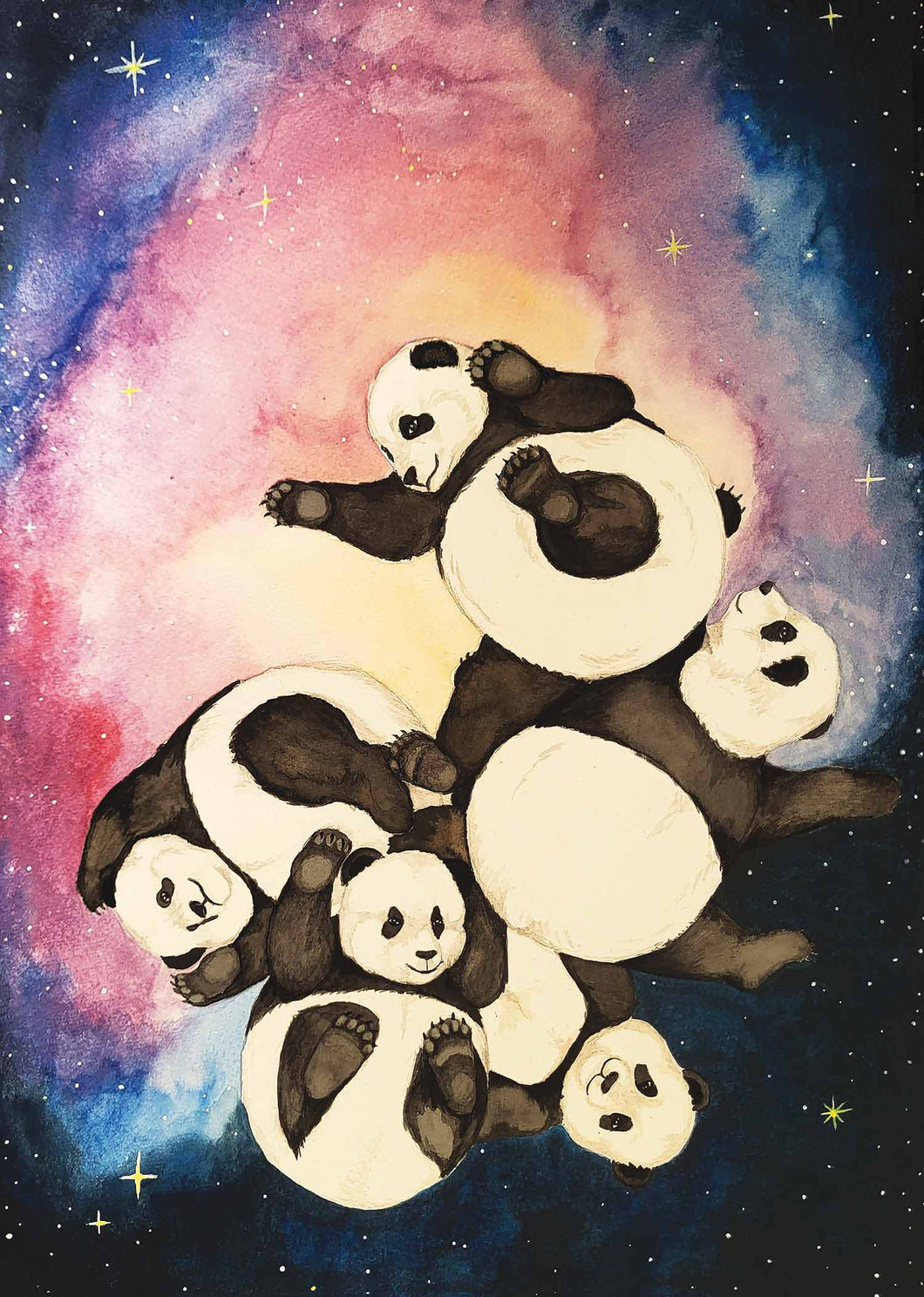 Space Pandas