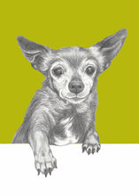 Load image into Gallery viewer, Chihuahua &quot;Sugar&quot;
