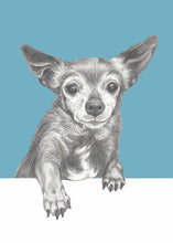 Load image into Gallery viewer, Chihuahua &quot;Sugar&quot;
