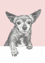 Load image into Gallery viewer, Chihuahua &quot;Sugar&quot;
