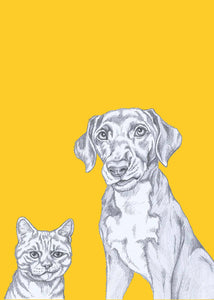 cat and dog