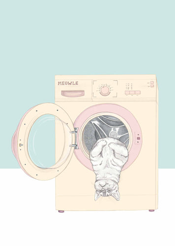 cat in washing mashine