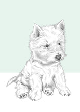 Load image into Gallery viewer, Westy
