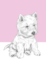 Load image into Gallery viewer, Westy
